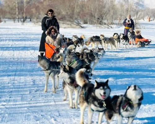 mongolia winter tours