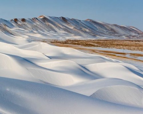 mongolia winter tours