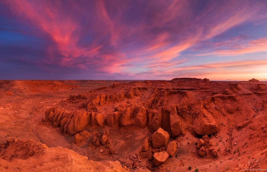 Bayanzag (Flaming Cliffs)