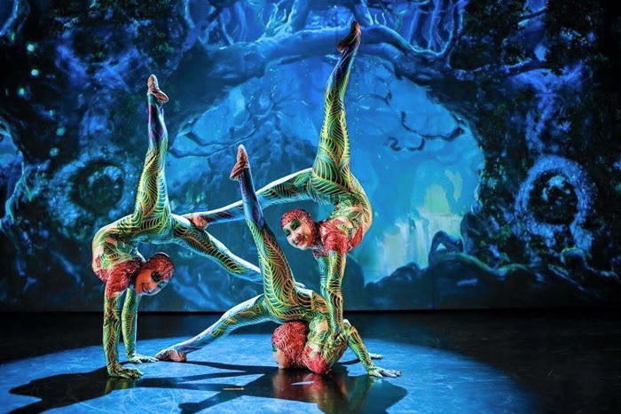 Contortion, Photography tours mongolia, Community based and culture tours mongolia