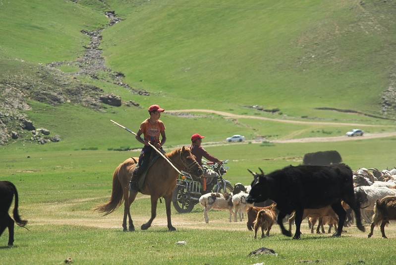 Democracy of Mongolia, Private tours mongolia, Group tours mongolia