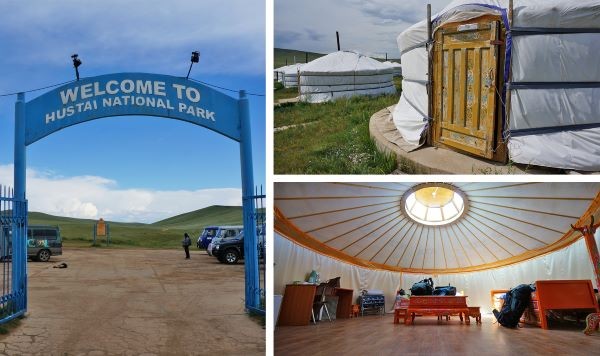 Hustai Ger Camp,Short tours and day tours mongolia, Gobi tours mongolia, Eagle Hunters tours mongolia, Mongolia tours in August, Mongolia tours in September