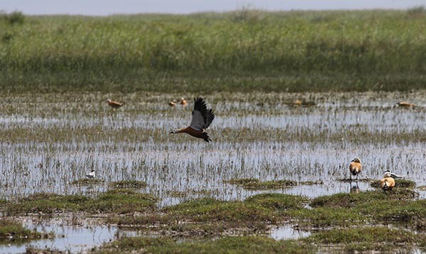 Khar Us Lake, Western Mongolia tours mongolia