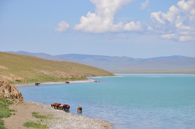 Moilt Eco Lodge,  Central Mongolia tours mongolia, Photography tours mongolia, Private tours mongolia, Group tours mongolia, Family friendly tours mongolia, Central mongolia