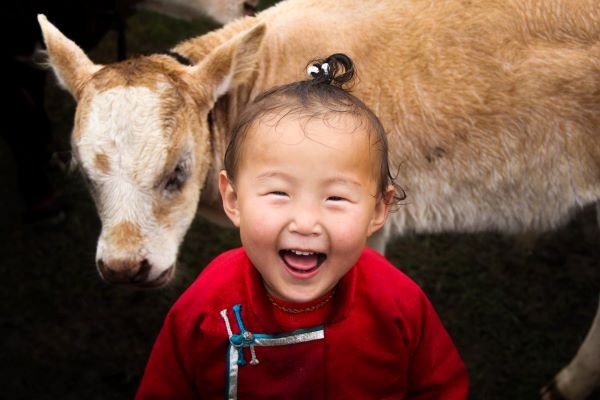 Mongolia Blogs,Private tours mongolia, Group tours mongolia, 17 day tours mongolia, Mongolia Group tours 2026