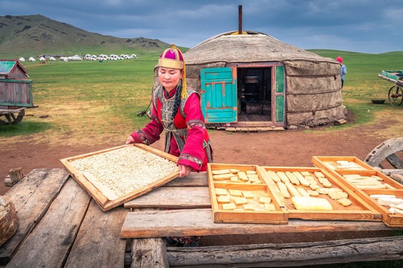 Making Traditional Mongolian Aaruul in Mongol Nomadic show A Mongolian woman in a red and gold traditional deel and hat laying out trays of sliced white curds to dry on a wooden table in front of a grey felt ger.