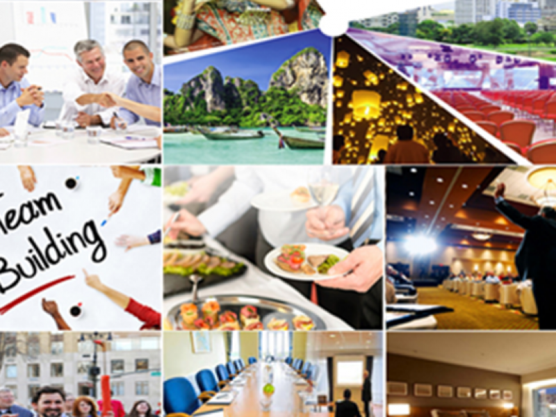 Why choose guru travel mongolia for mice in mongolia?