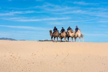 Mini Gobi & Terelj National Park 3 days tour