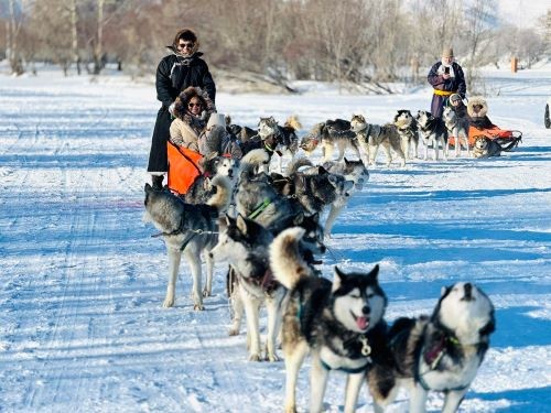 Mongolia Winter dog sledding 2 days tour