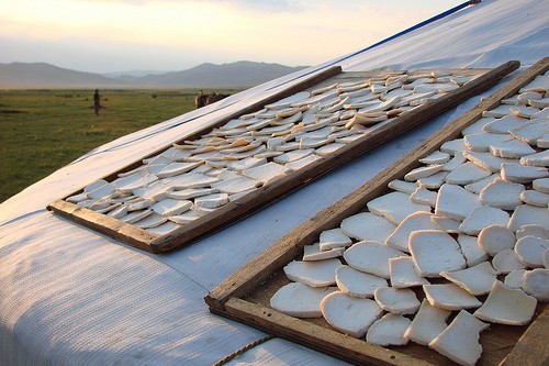 Dairy products(gallery 1)