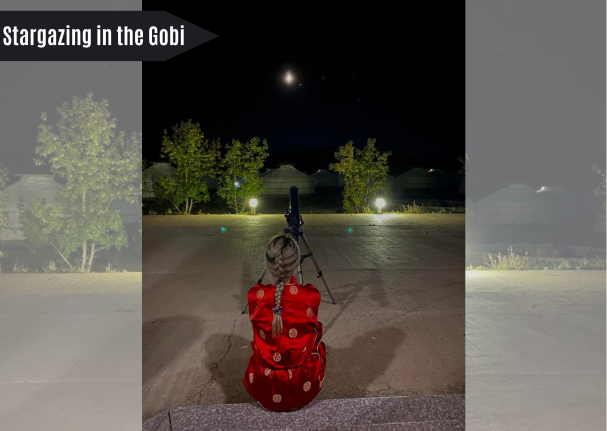  What to do in the Gobi